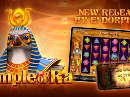 sob777 pasang taruhan tampilan platform odds live betting kompetitif